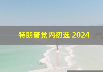 特朗普党内初选 2024